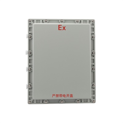 宽300高400防爆接线端子箱 宽300高400防爆接线端子箱