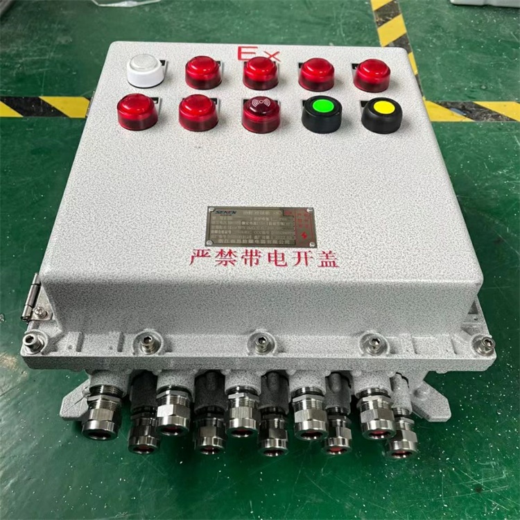 防爆仪表控制箱BXK-T 防爆仪表控制箱BXK-T